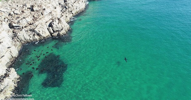 AIR JAWS AN ANDEREN STANDORTEN IN SÜDAFRIKA