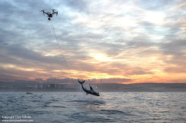 AIR JAWS AN ANDEREN STANDORTEN IN SÜDAFRIKA