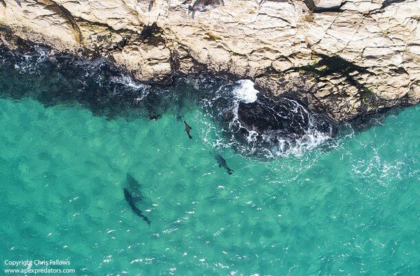 AIR JAWS AN ANDEREN STANDORTEN IN SÜDAFRIKA