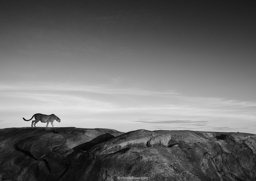 Namiri Plains