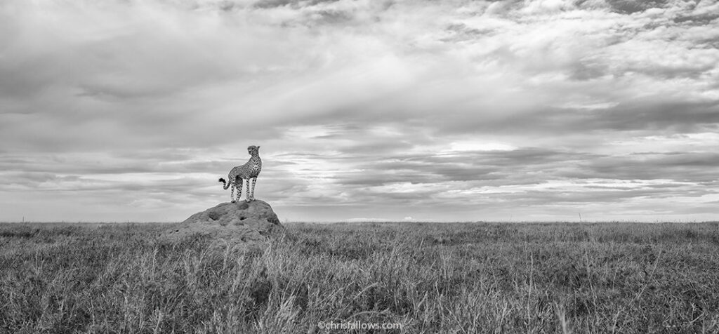 Namiri Plains