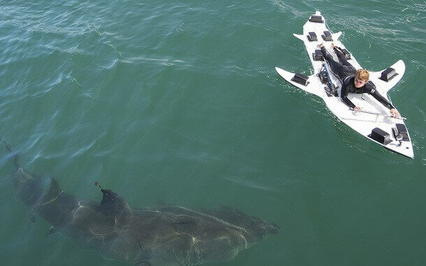 AIR JAWS AN ANDEREN STANDORTEN IN SÜDAFRIKA