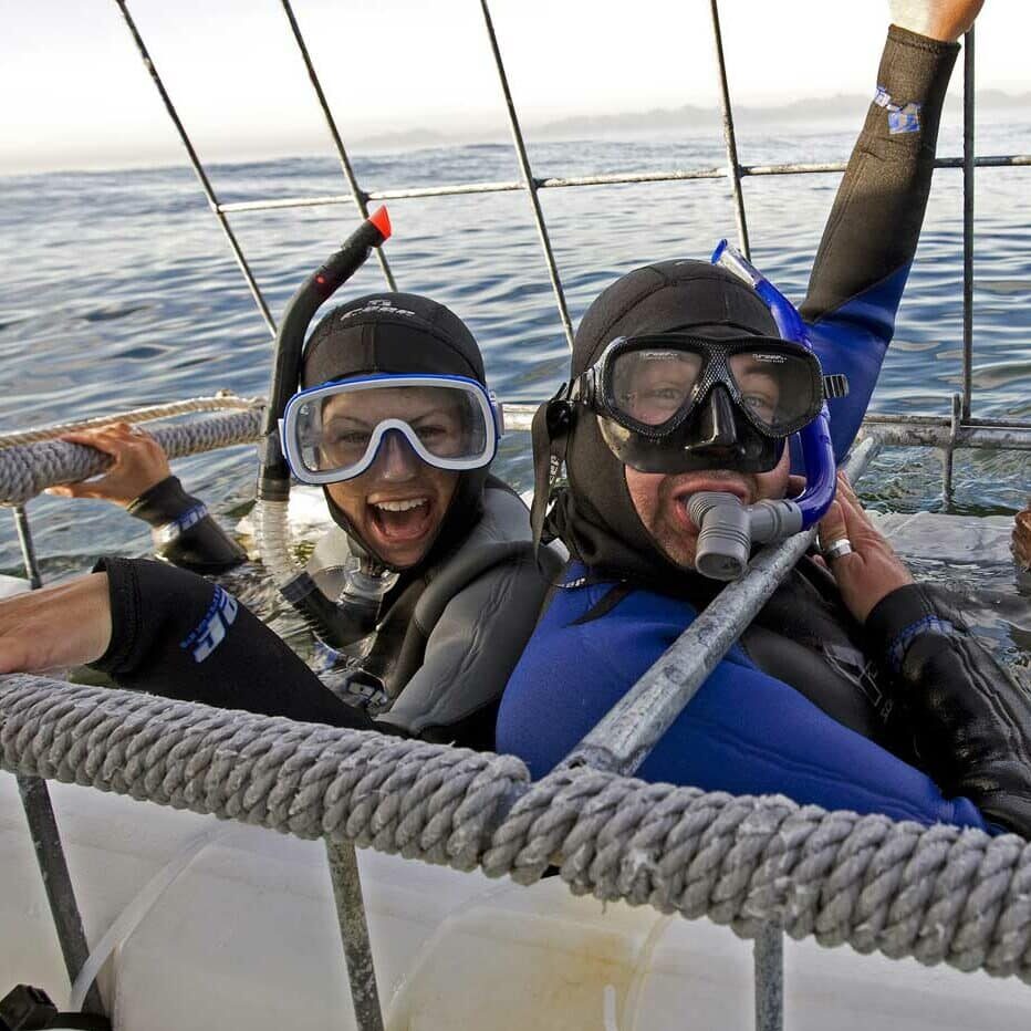 jaula de tiburones buceo ciudad del cabo