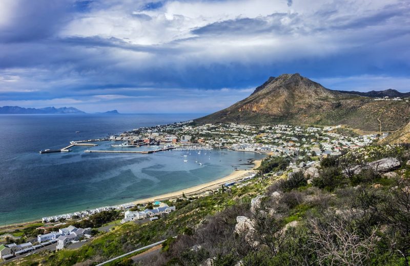 Comparando passeios com tubarões na Cidade do Cabo, Hermanus e Gansbaai