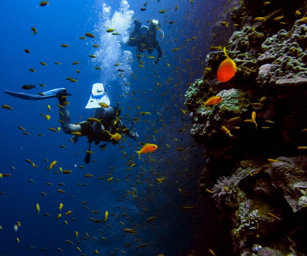 Here are 10 top sites worldwide, prioritizing South African gems for conservation-minded thrill-seekers